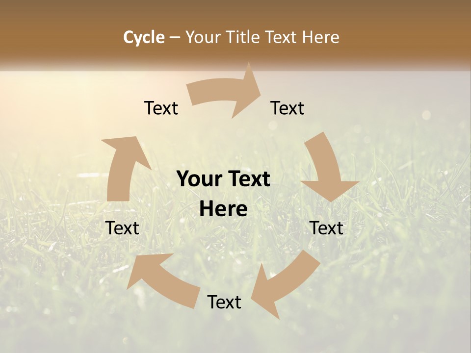 A Field Of Grass With The Sun In The Background PowerPoint Template