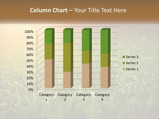 A Field Of Grass With The Sun In The Background PowerPoint Template