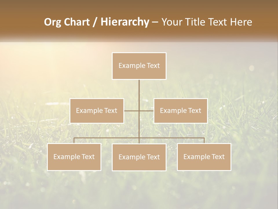 A Field Of Grass With The Sun In The Background PowerPoint Template