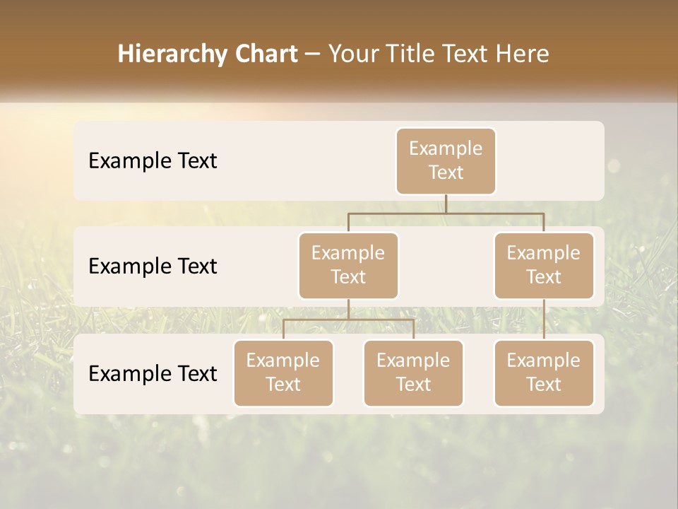 A Field Of Grass With The Sun In The Background PowerPoint Template