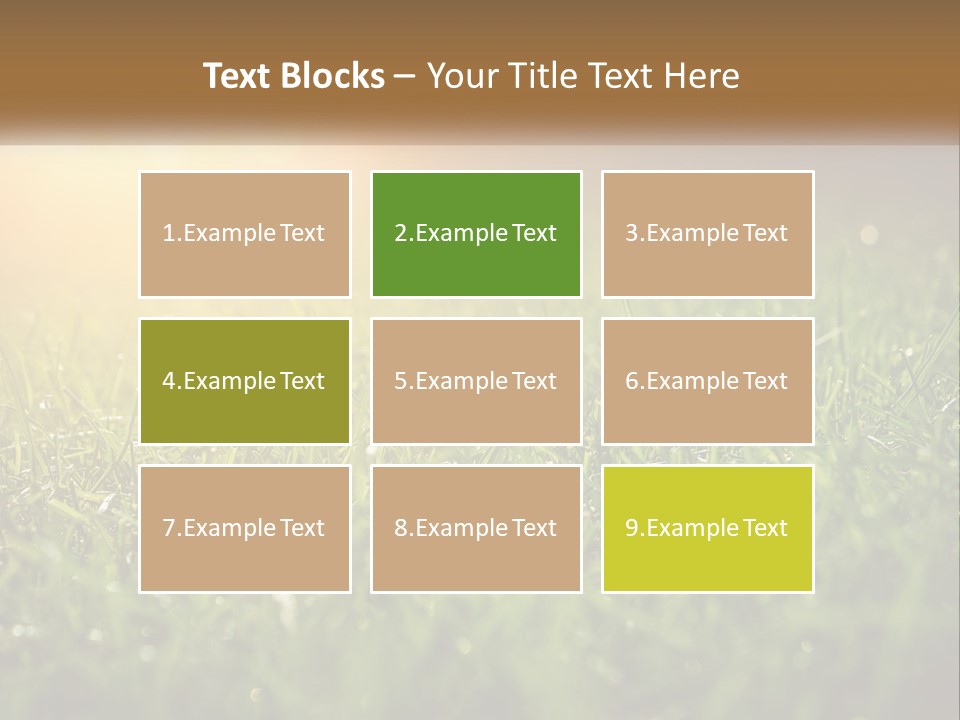 A Field Of Grass With The Sun In The Background PowerPoint Template