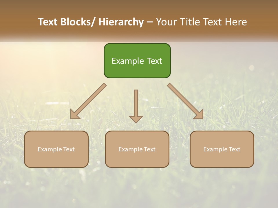 A Field Of Grass With The Sun In The Background PowerPoint Template