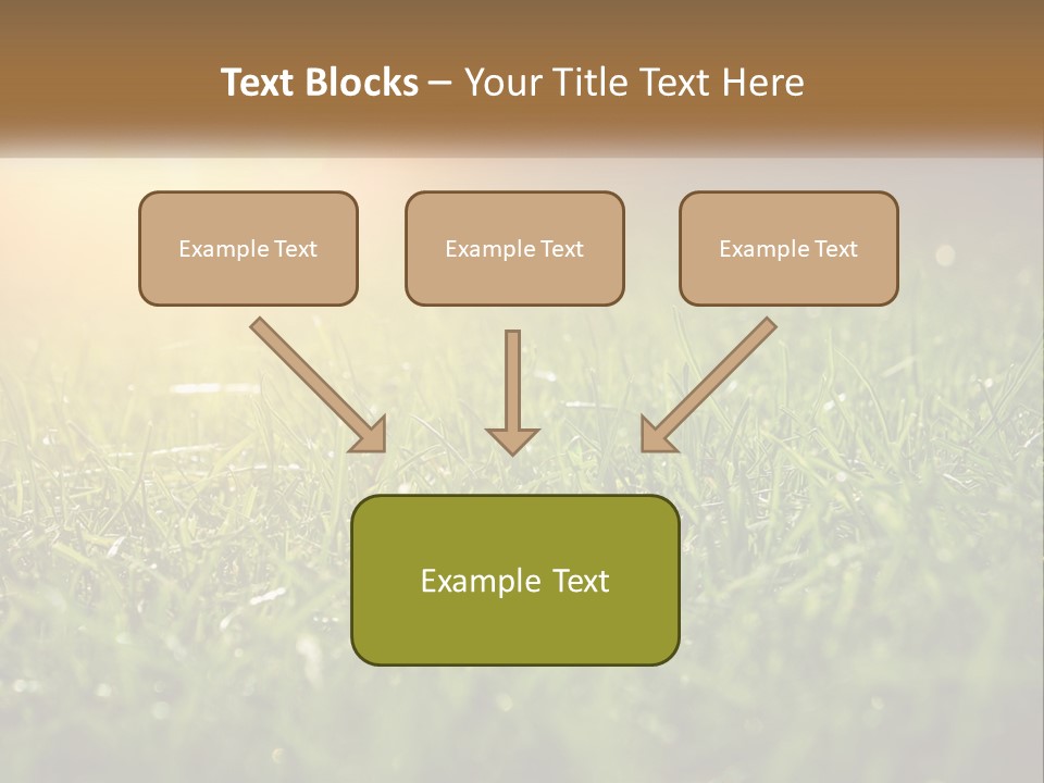A Field Of Grass With The Sun In The Background PowerPoint Template