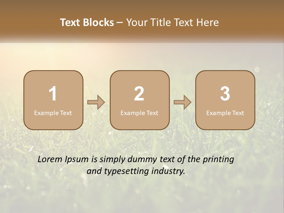 A Field Of Grass With The Sun In The Background PowerPoint Template