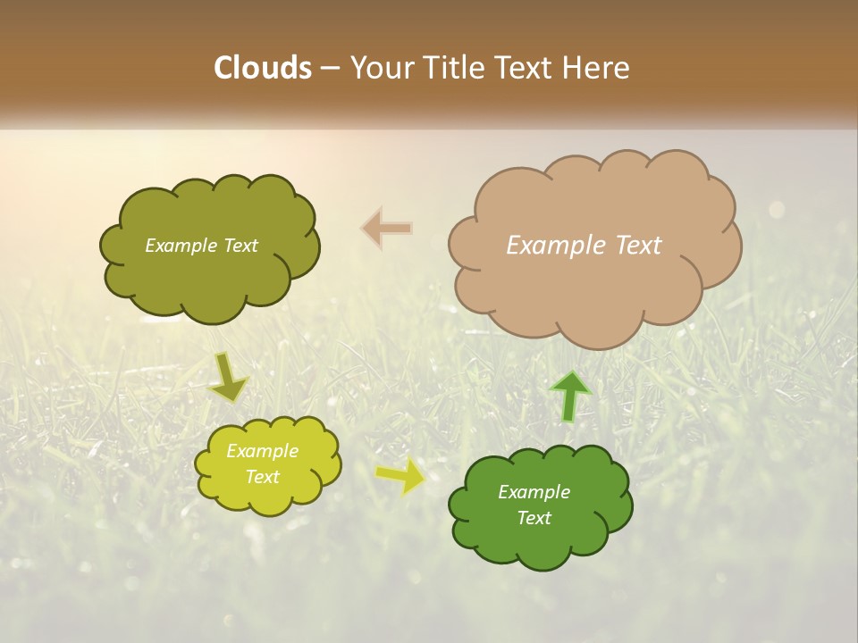 A Field Of Grass With The Sun In The Background PowerPoint Template