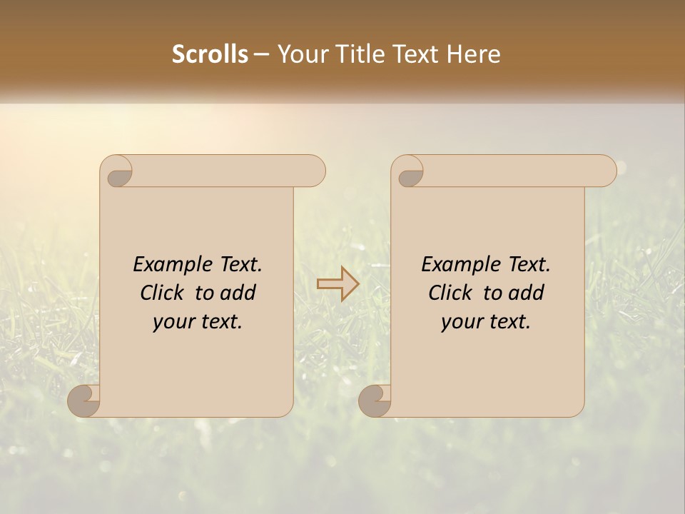A Field Of Grass With The Sun In The Background PowerPoint Template