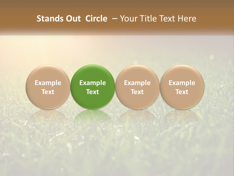 A Field Of Grass With The Sun In The Background PowerPoint Template