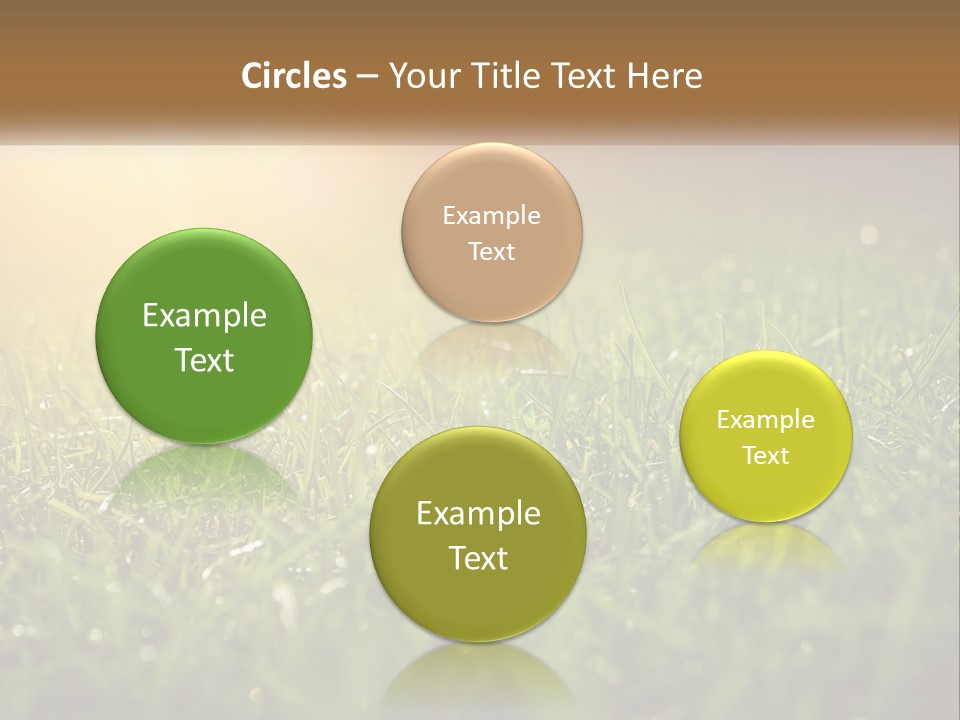 A Field Of Grass With The Sun In The Background PowerPoint Template