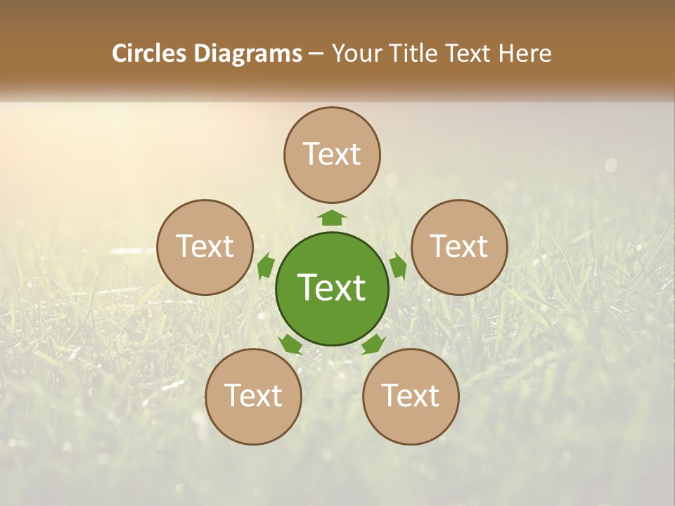 A Field Of Grass With The Sun In The Background PowerPoint Template