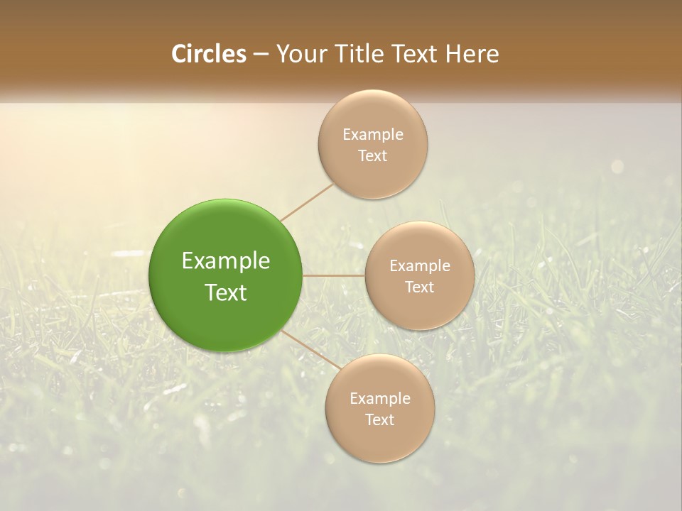 A Field Of Grass With The Sun In The Background PowerPoint Template