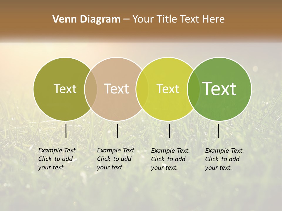 A Field Of Grass With The Sun In The Background PowerPoint Template