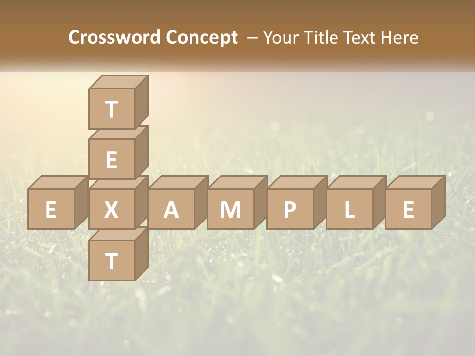 A Field Of Grass With The Sun In The Background PowerPoint Template