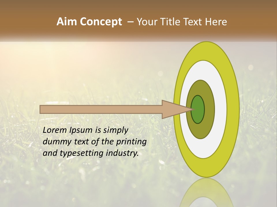A Field Of Grass With The Sun In The Background PowerPoint Template