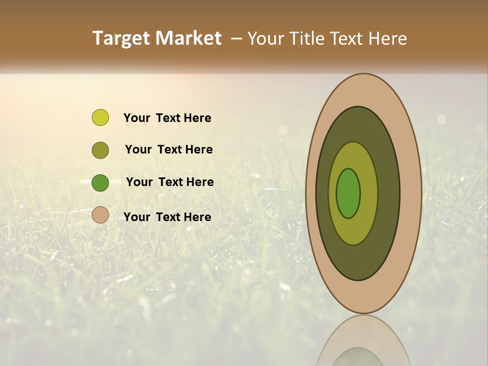 A Field Of Grass With The Sun In The Background PowerPoint Template