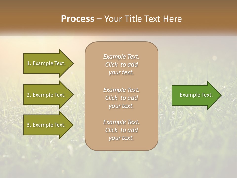 A Field Of Grass With The Sun In The Background PowerPoint Template
