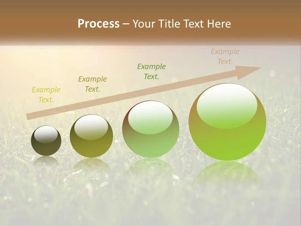 A Field Of Grass With The Sun In The Background PowerPoint Template
