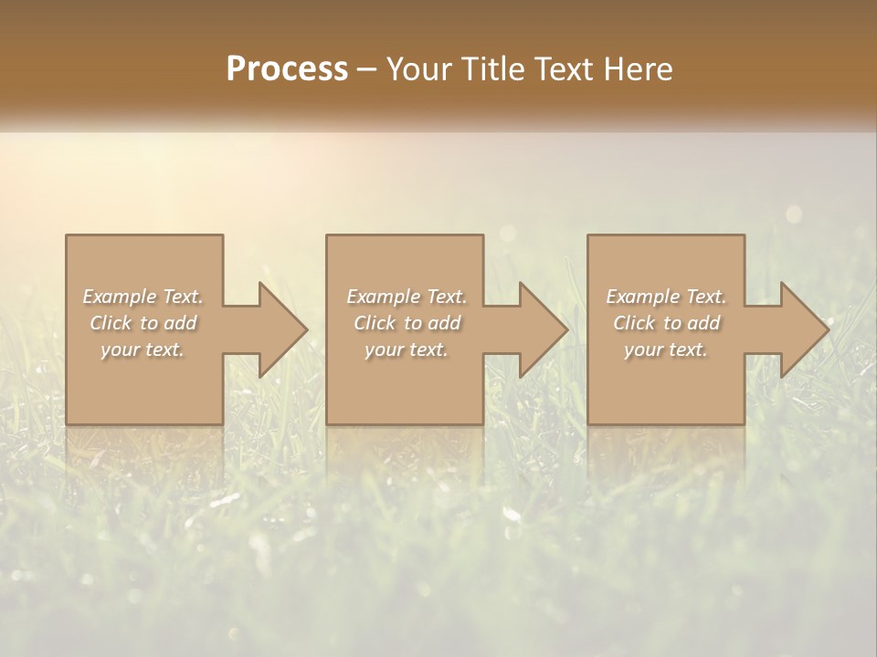 A Field Of Grass With The Sun In The Background PowerPoint Template