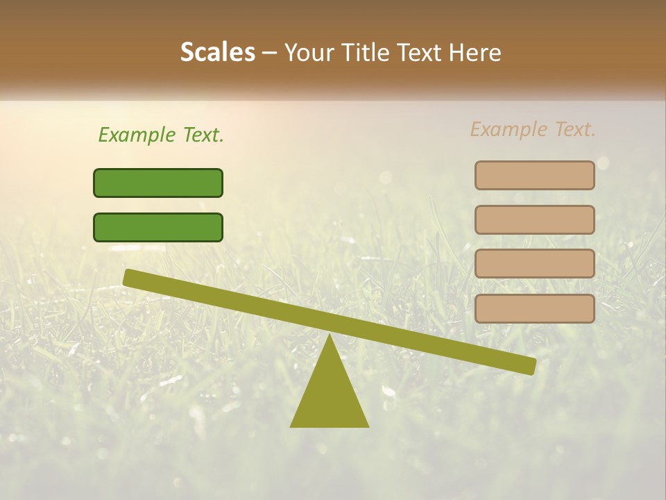 A Field Of Grass With The Sun In The Background PowerPoint Template