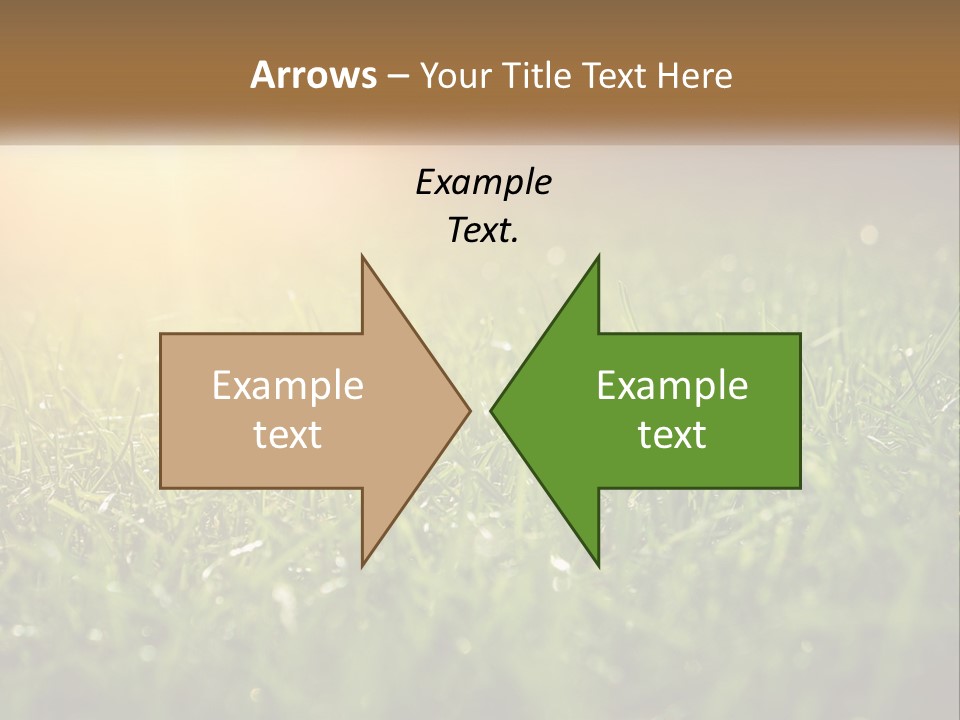 A Field Of Grass With The Sun In The Background PowerPoint Template
