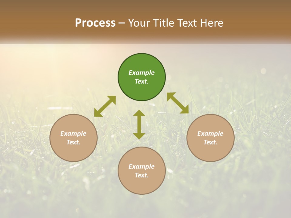 A Field Of Grass With The Sun In The Background PowerPoint Template