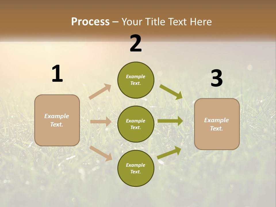 A Field Of Grass With The Sun In The Background PowerPoint Template