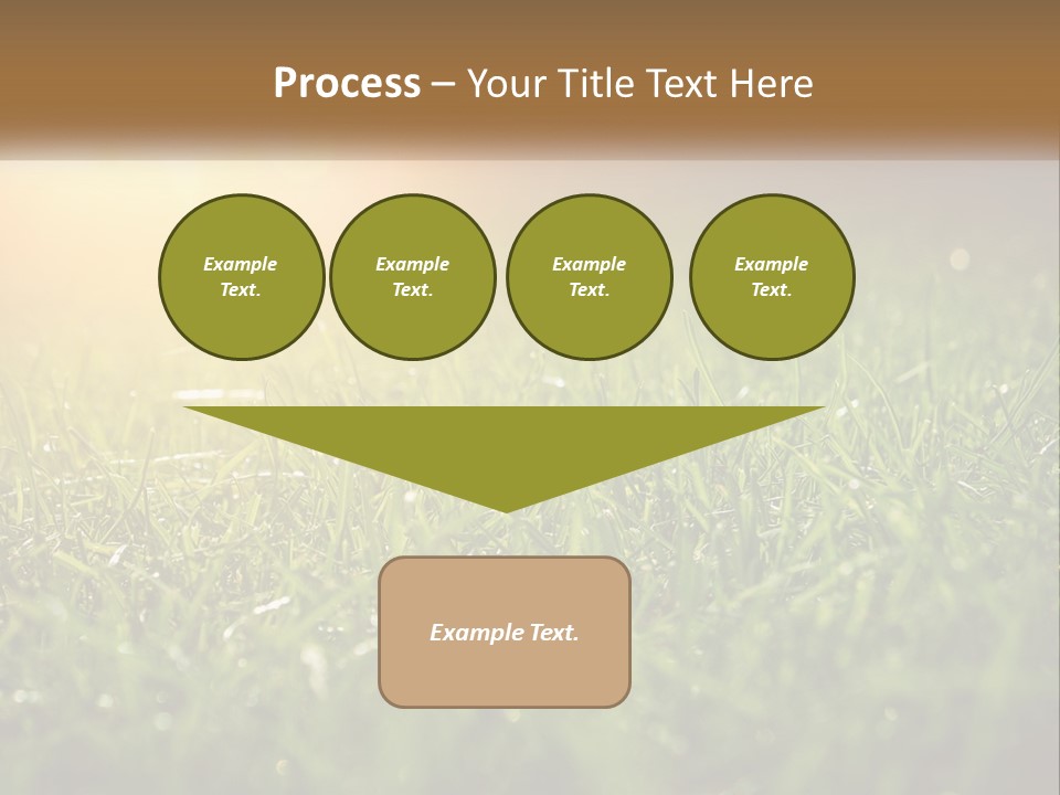 A Field Of Grass With The Sun In The Background PowerPoint Template