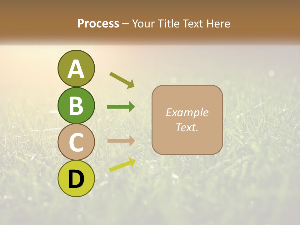 A Field Of Grass With The Sun In The Background PowerPoint Template