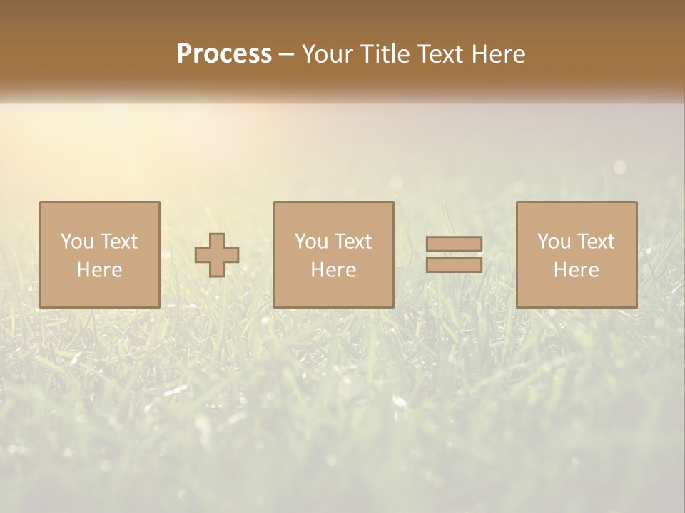 A Field Of Grass With The Sun In The Background PowerPoint Template