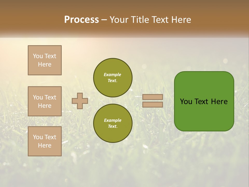 A Field Of Grass With The Sun In The Background PowerPoint Template