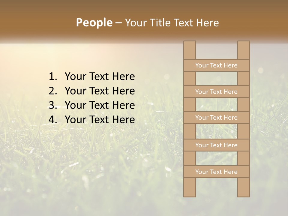 A Field Of Grass With The Sun In The Background PowerPoint Template