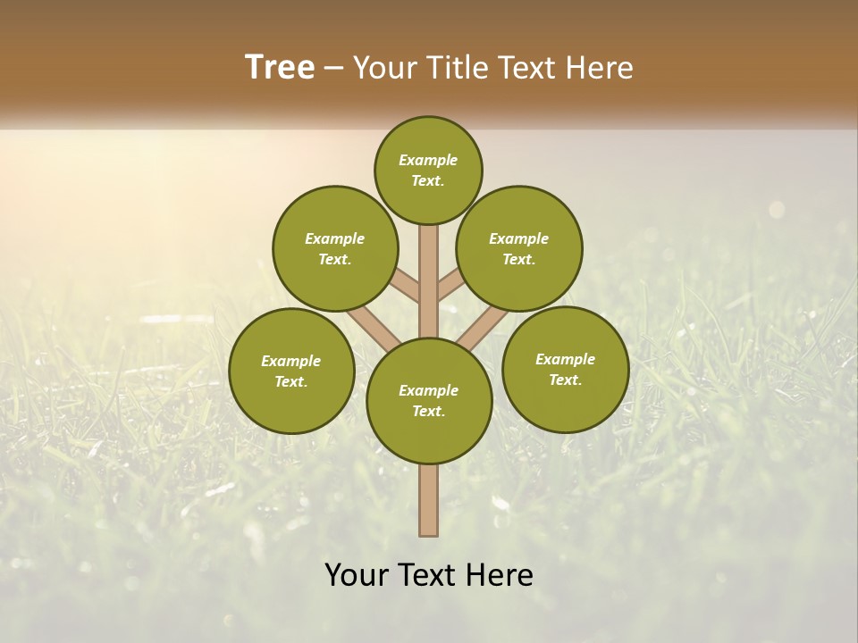 A Field Of Grass With The Sun In The Background PowerPoint Template