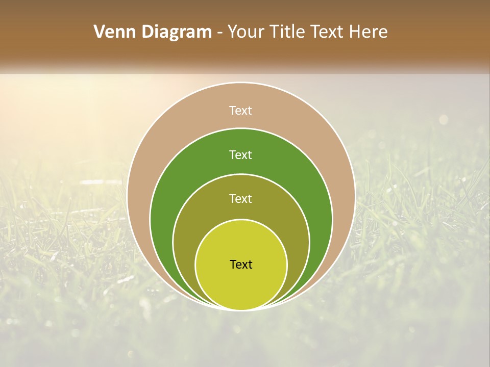A Field Of Grass With The Sun In The Background PowerPoint Template