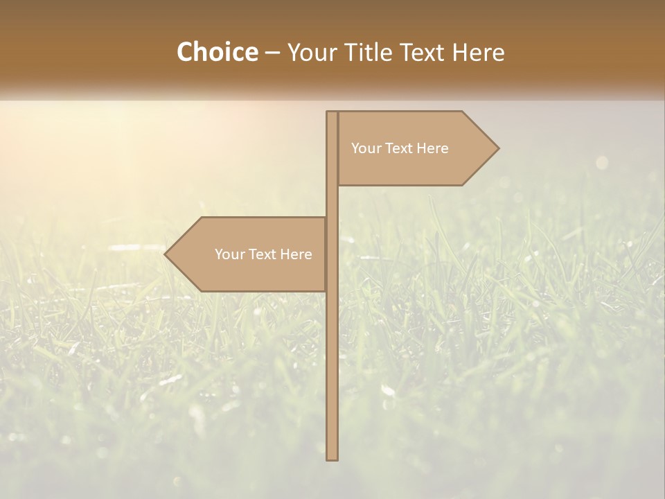 A Field Of Grass With The Sun In The Background PowerPoint Template
