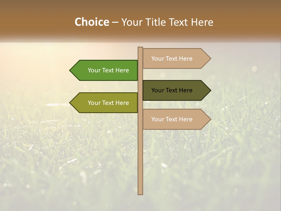 A Field Of Grass With The Sun In The Background PowerPoint Template