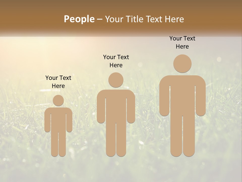 A Field Of Grass With The Sun In The Background PowerPoint Template