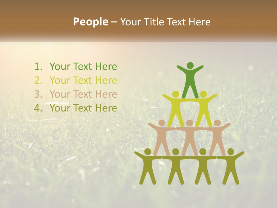 A Field Of Grass With The Sun In The Background PowerPoint Template