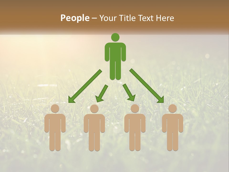 A Field Of Grass With The Sun In The Background PowerPoint Template