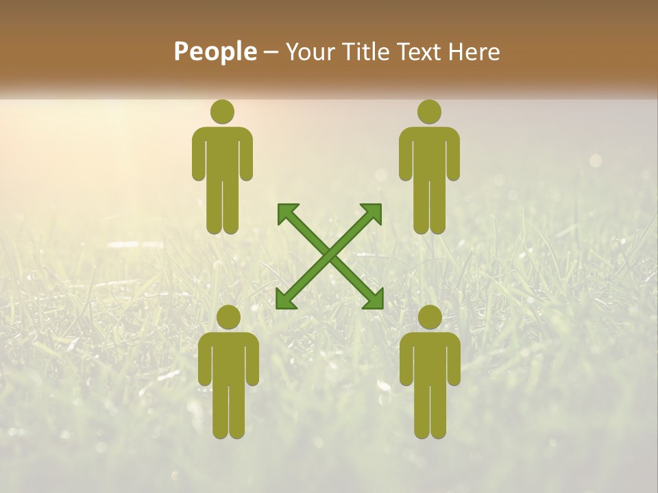 A Field Of Grass With The Sun In The Background PowerPoint Template