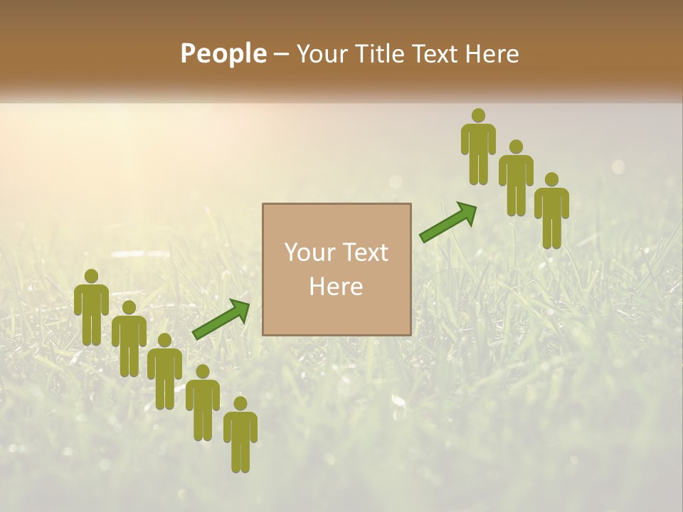 A Field Of Grass With The Sun In The Background PowerPoint Template