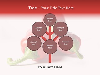 Three Red Peppers With Green Leaves On A White Background PowerPoint Template