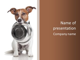 A Dog Holding A Bowl In Its Mouth PowerPoint Template