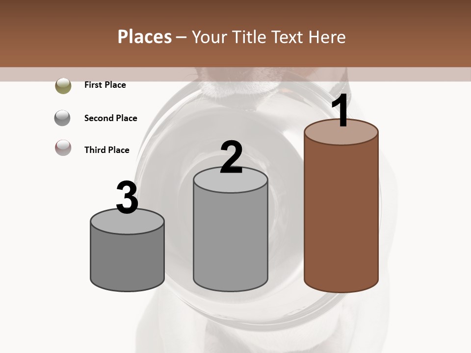 A Dog Holding A Bowl In Its Mouth PowerPoint Template