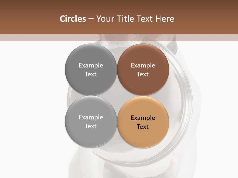 A Dog Holding A Bowl In Its Mouth PowerPoint Template