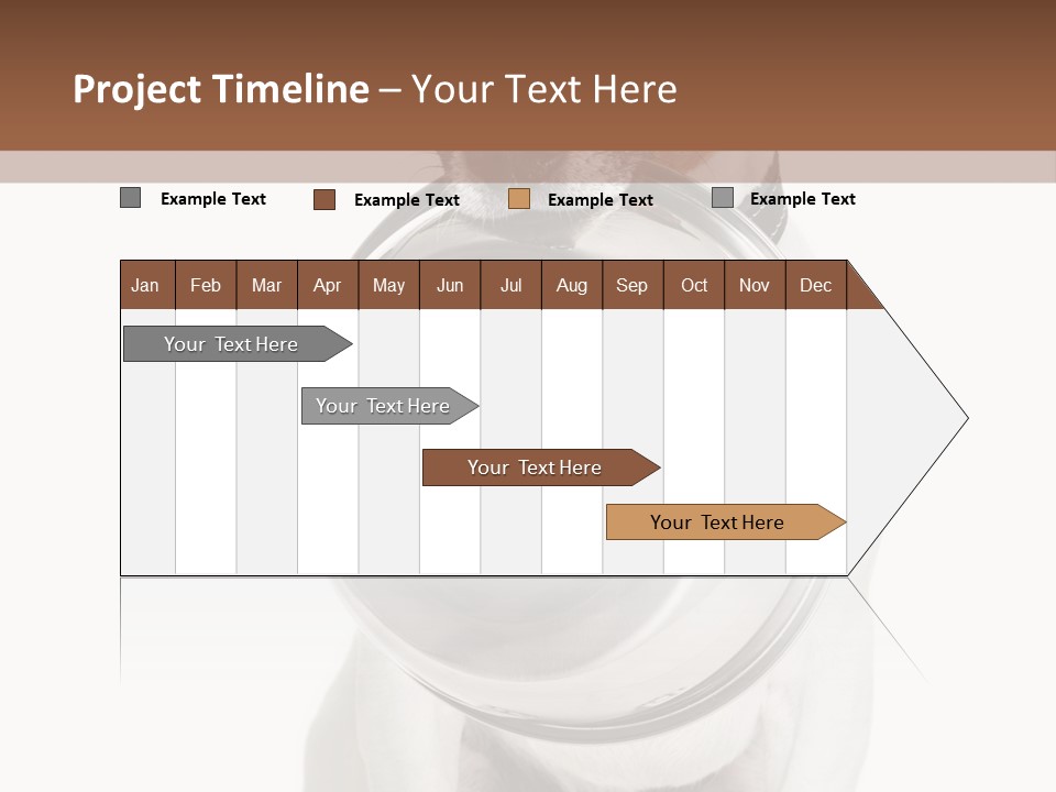 A Dog Holding A Bowl In Its Mouth PowerPoint Template