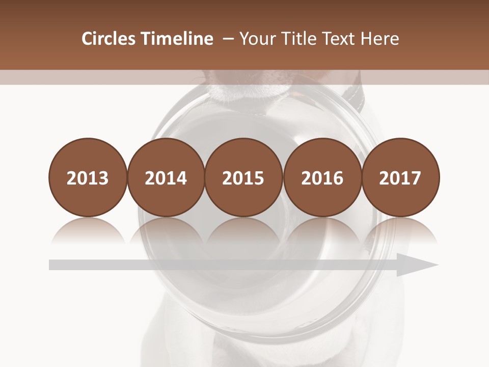 A Dog Holding A Bowl In Its Mouth PowerPoint Template