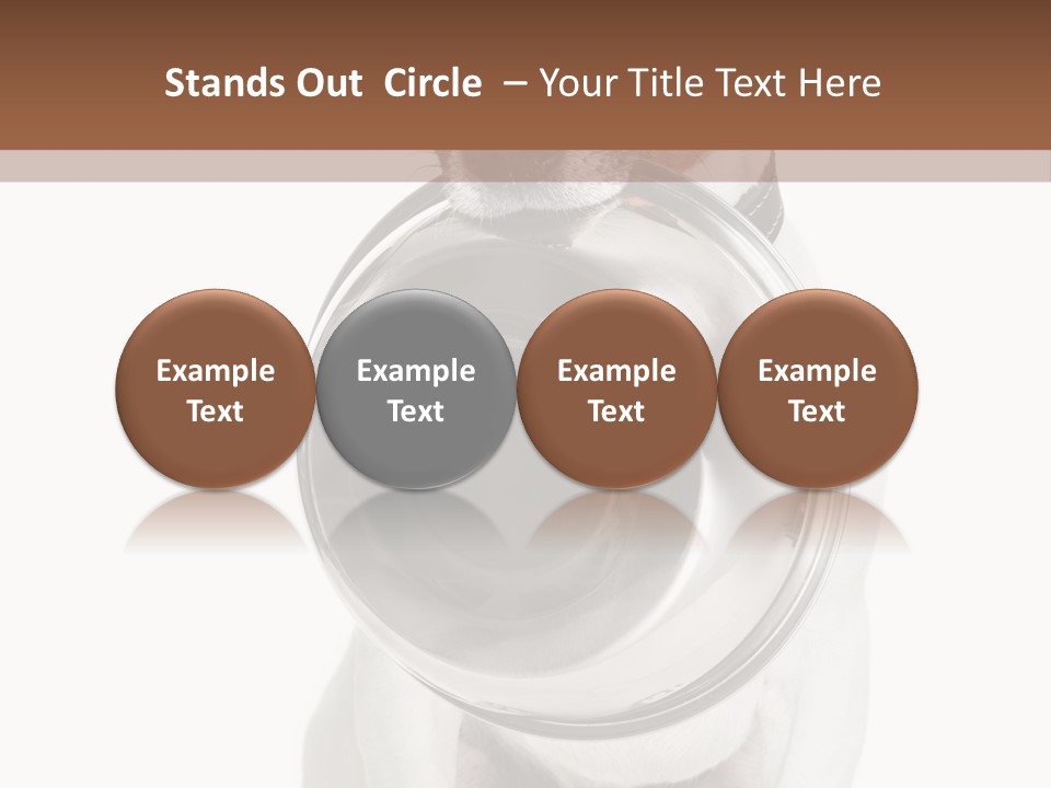 A Dog Holding A Bowl In Its Mouth PowerPoint Template