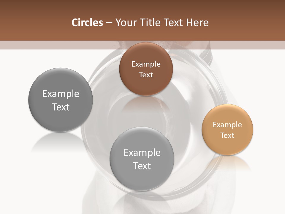 A Dog Holding A Bowl In Its Mouth PowerPoint Template