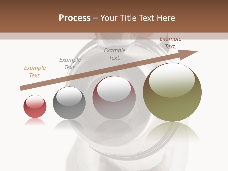 A Dog Holding A Bowl In Its Mouth PowerPoint Template