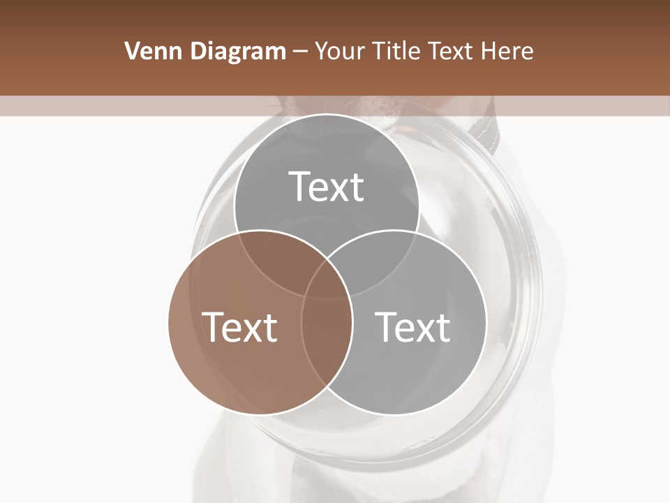 A Dog Holding A Bowl In Its Mouth PowerPoint Template