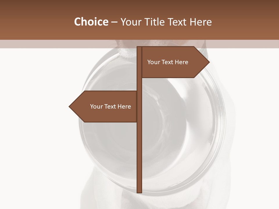 A Dog Holding A Bowl In Its Mouth PowerPoint Template